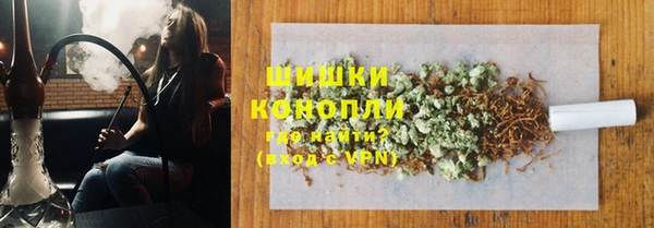 ECSTASY Богородицк